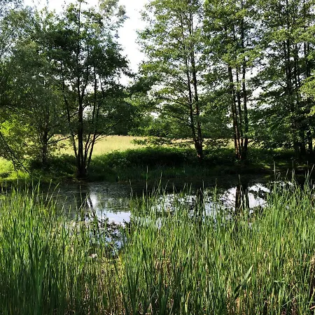 12 Strandvaenge